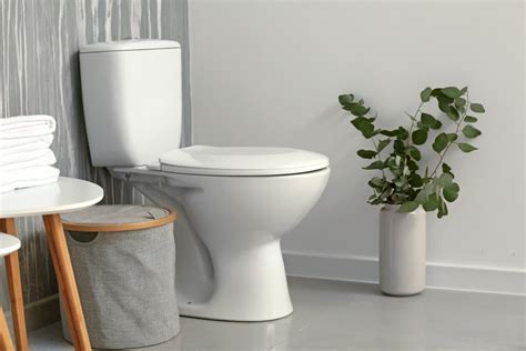 A New Toilet